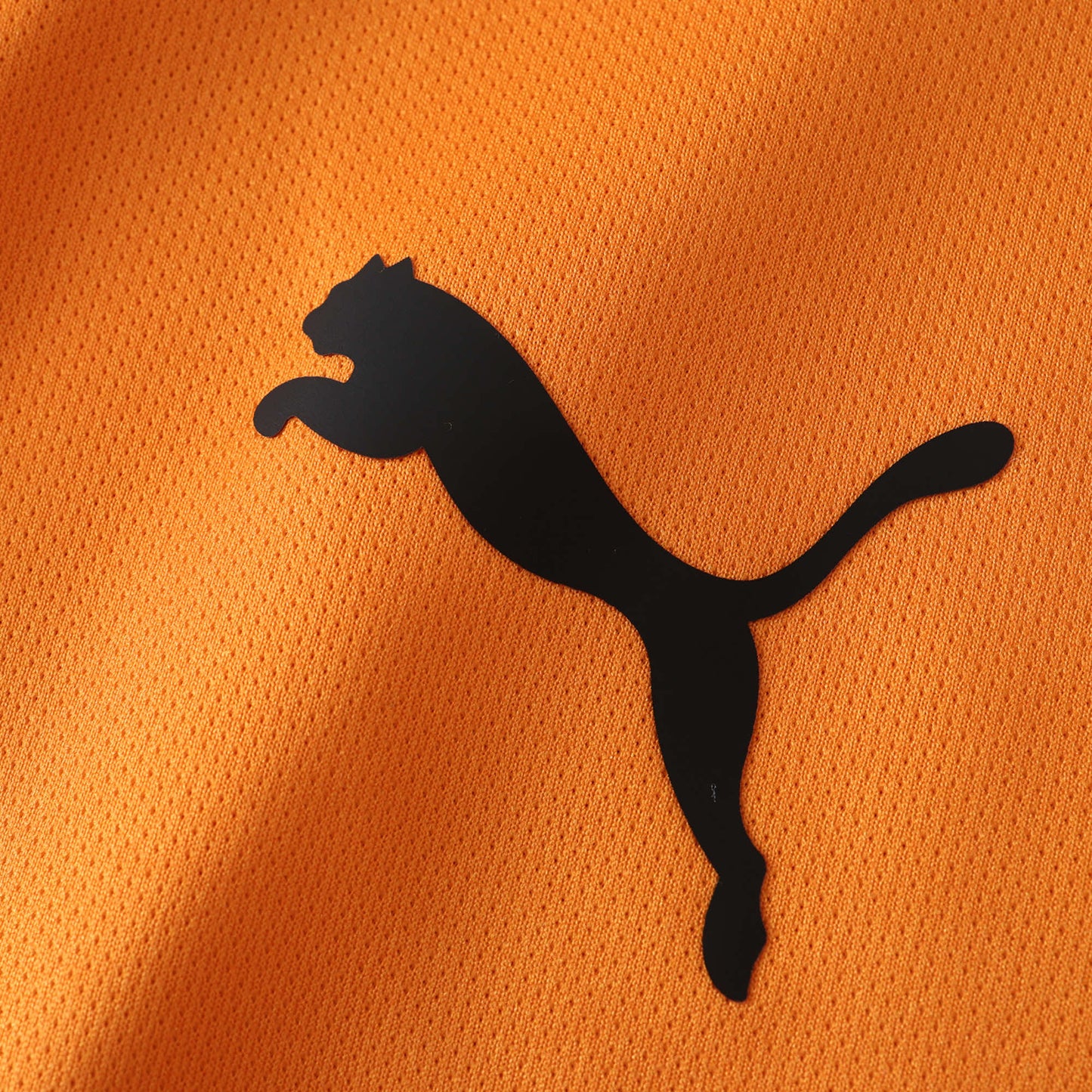 Dries Mertens Galatasaray Trikot Neue Saison
