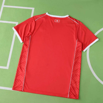 Tunisian 2026 World Cup Jersey Trikot Maillot