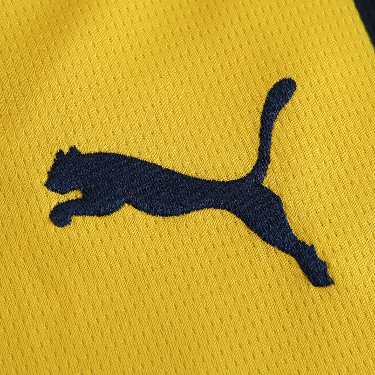 Dusan Tadic Fenerbahçe Yeni Sezon Trikot Forma Home Jersey Maillot Jersey