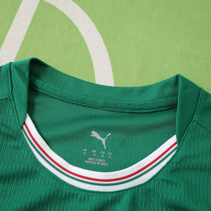SE Palmeiras 2026-2027 Season Home Long Sleeve Football Jersey Trikot Maillot