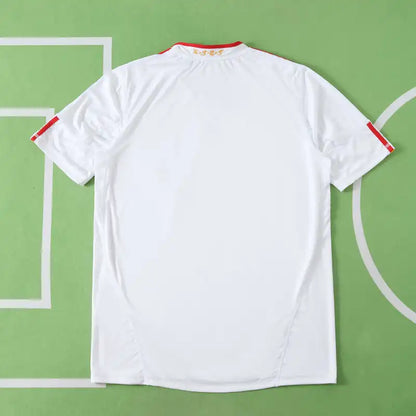 Spanien Trikot Fußball-WM 2010