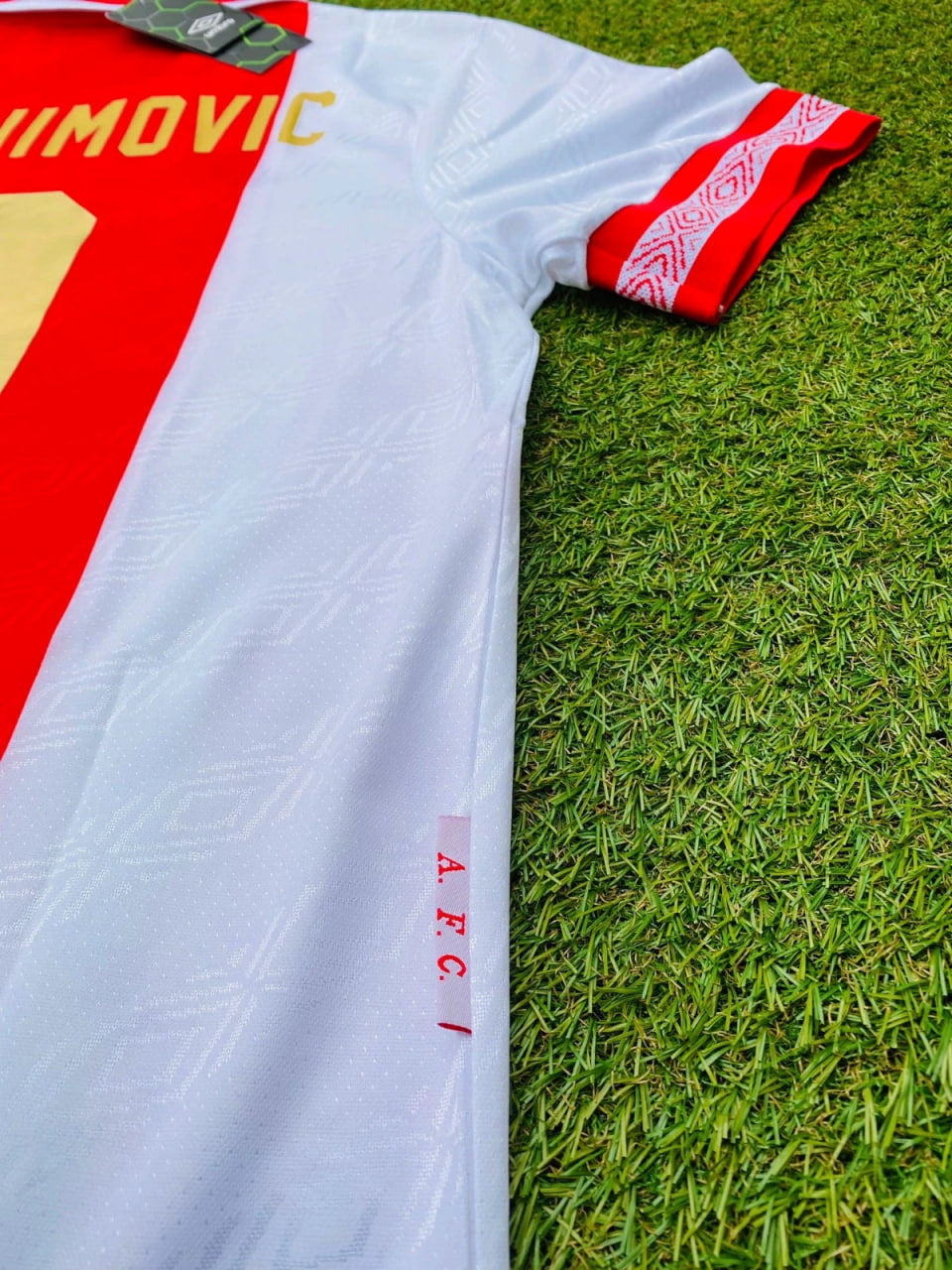 Zlatan Ibrahimovic Ajax Retro Golden Printing Trikot Fußballtrikot
