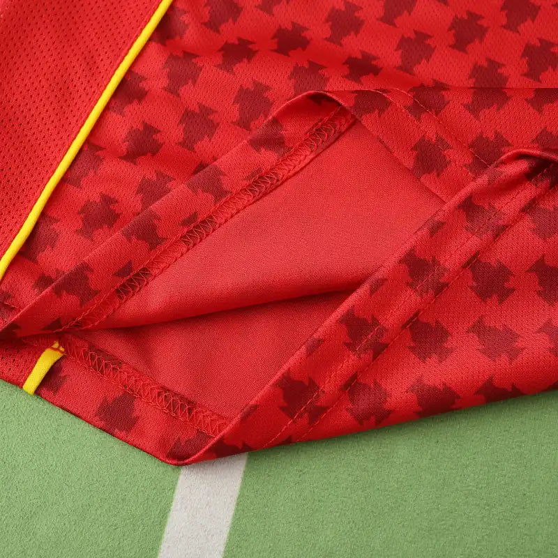 Maillot de Foot Rétro Rouge Domicile Saison 2004 Portugal