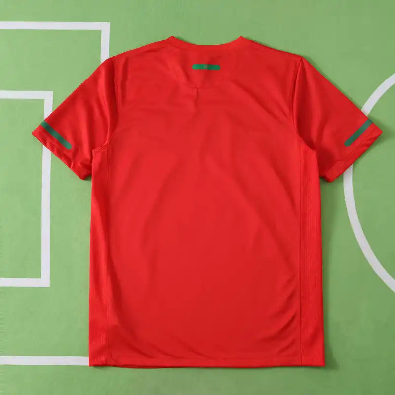 Portugal 2010 Season Home Red Retro Jersey Trikot Soccer Shirt